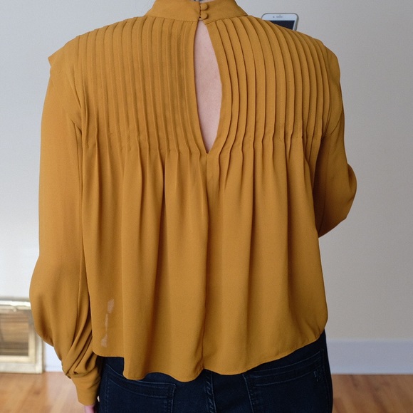 Aritzia Babaton Babydoll Blouse with pleats - caramel - Picture 3 of 12